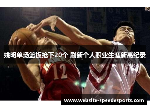姚明单场篮板抢下20个 刷新个人职业生涯新高纪录